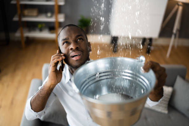 Best 24/7 water damage repair  in Bayport, MN