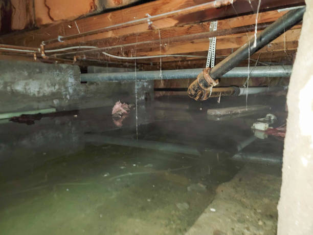 Sewage cleanup and water damage restoration in Bayport, MN