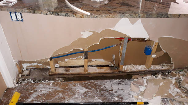 Best Sewage cleanup and water damage restoration  in Bayport, MN