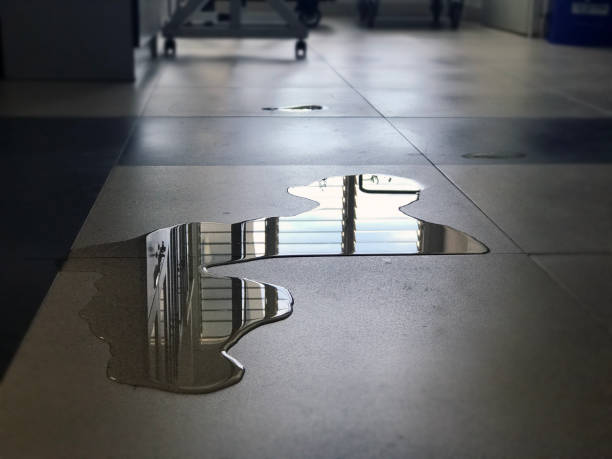 Best Professional water damage repair  in Bayport, MN