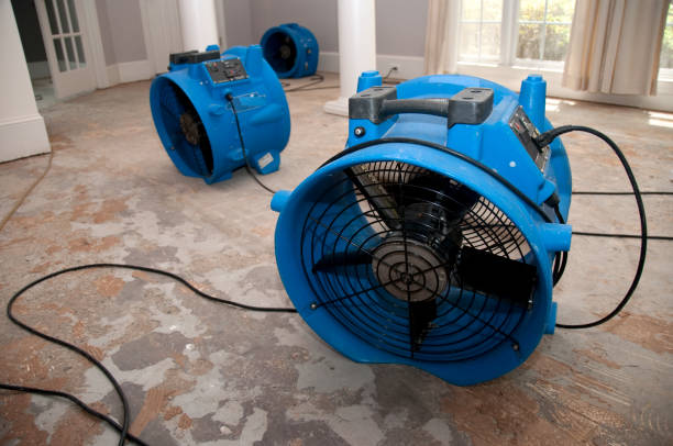 Best Emergency water damage restoration  in Bayport, MN