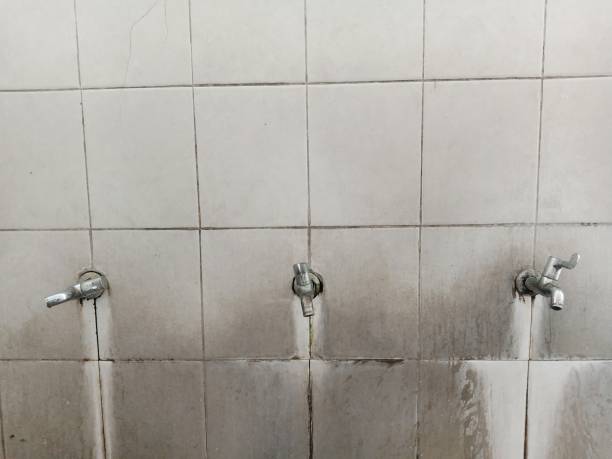 Best Water damage cleanup near me  in Bayport, MN
