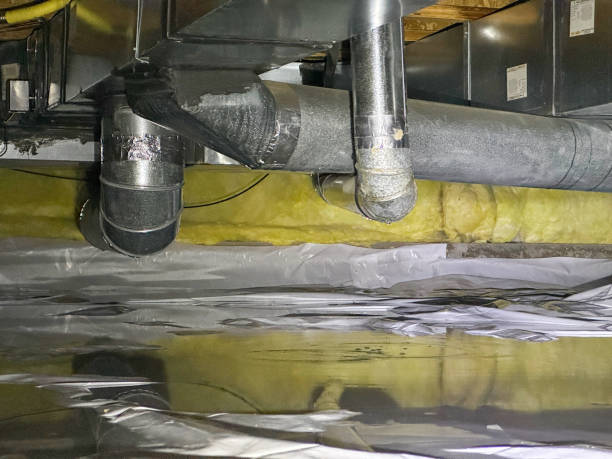 Trusted Bayport, MN Water damage restoration Experts
