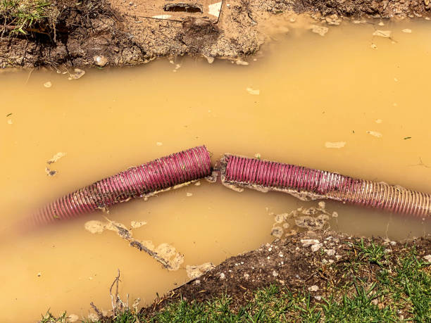 Best Water damage restoration cost  in Bayport, MN