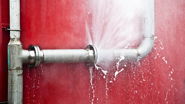 Best Carpet water damage restoration  in Bayport, MN